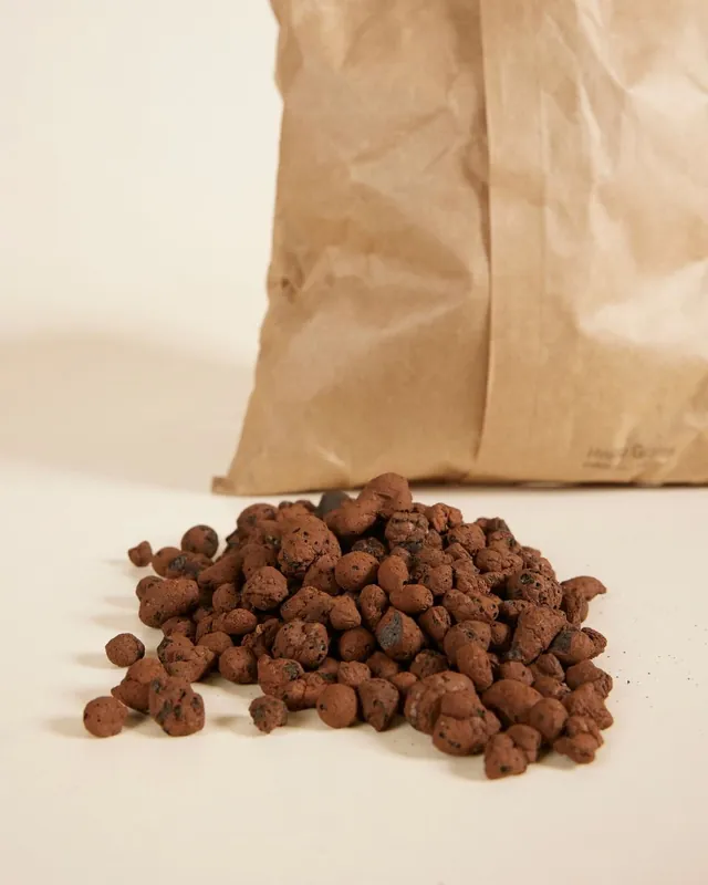 Top-Angebot Wasserkörner