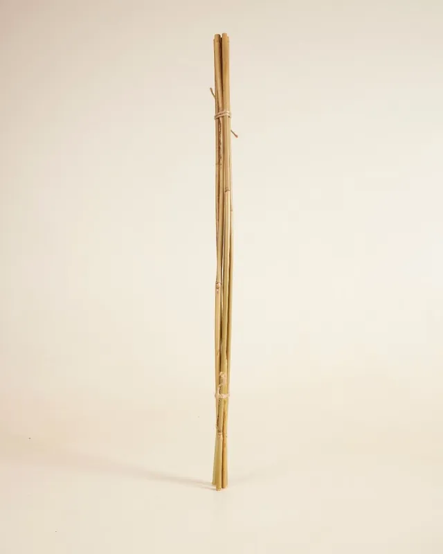 Echt Bambusstab 70 cm
