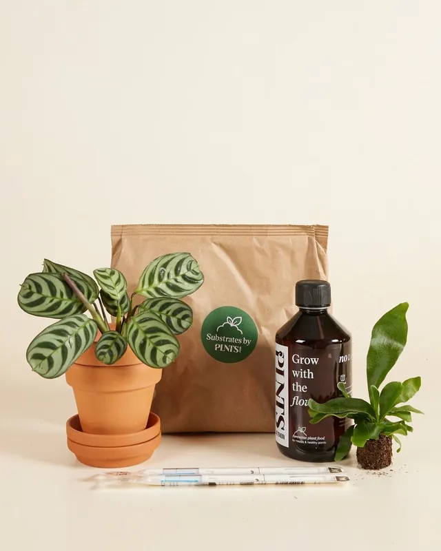 PLNTS Starter Kit Markenprodukt