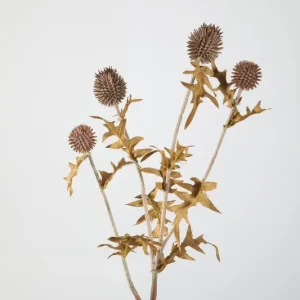 Jetzt Kaufen Colours & Green Seidenblume ECHINOPS SPRAY grau/braun