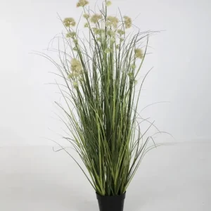 Colours & Green Seidenblume CURLY GRASS w/ Allium Günstig
