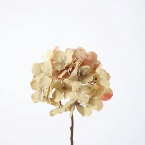 Colours & Green Seidenblume HYDRANGEA Stem/Spray, beige Top-Preis