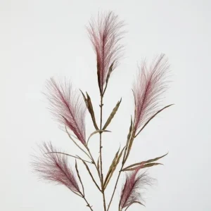 Colours & Green Seidenblume PALM PAMPAS GRASS, purple Solange Der Vorrat Reicht