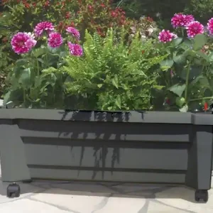 Preisknaller KHW Pflanzkübel Pflanzkasten auf Rollen mit Bewässerungssystem, BxTxH: 79x35x33 cm