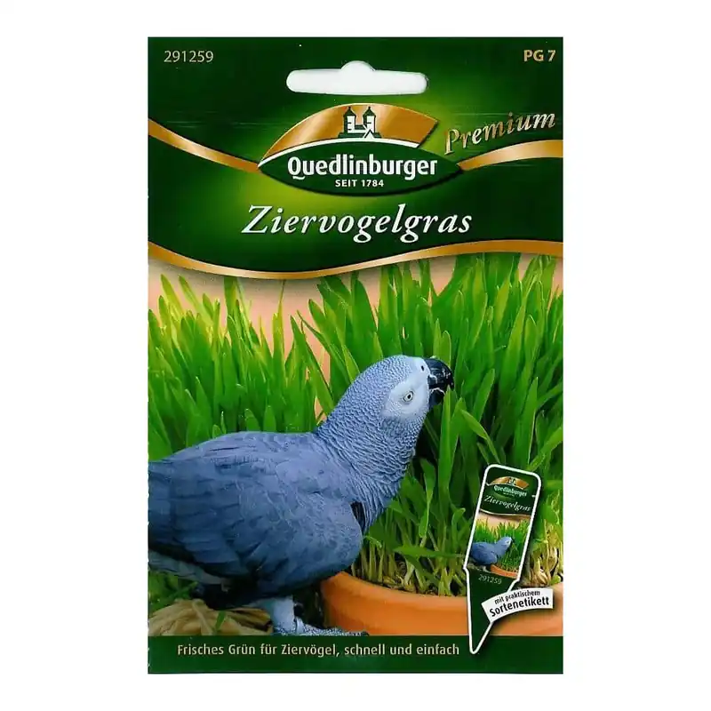 Angebot Ziervogelgras