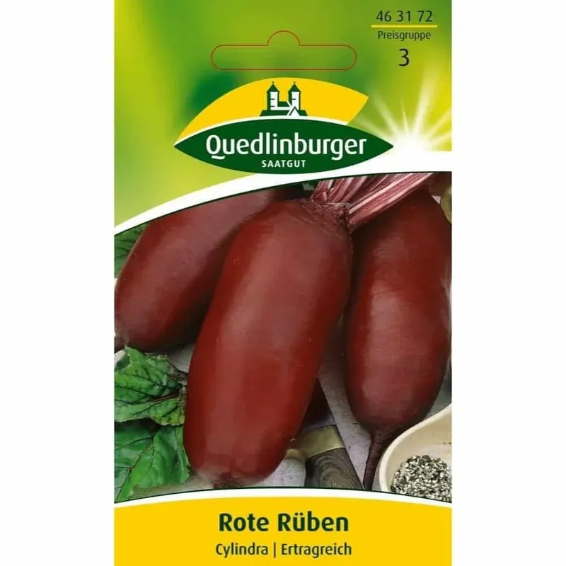Sale Rote Rübe, Cylindra