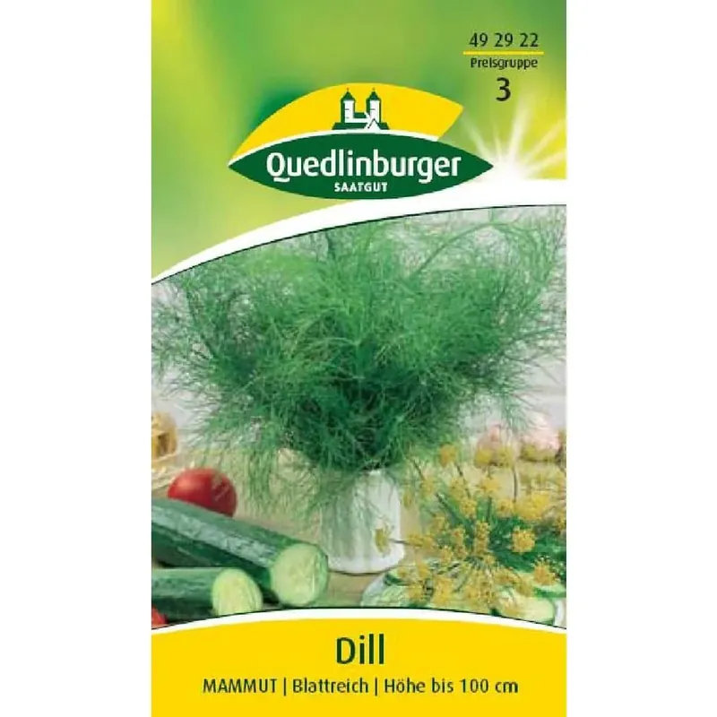 Dill säen, Blattdill kaufen, aromatisches Küchenkraut Bestseller