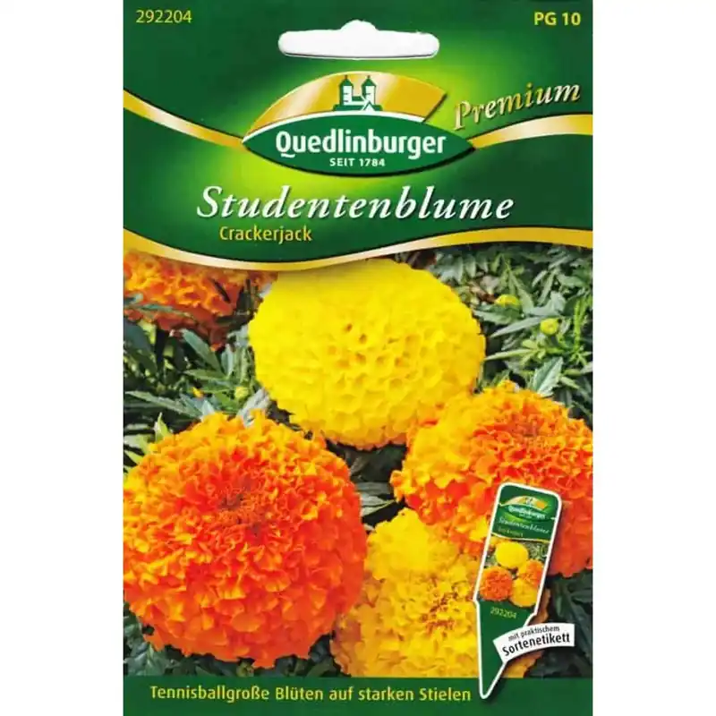 Begrenztes Angebot Studentenblumen, Crackerjack