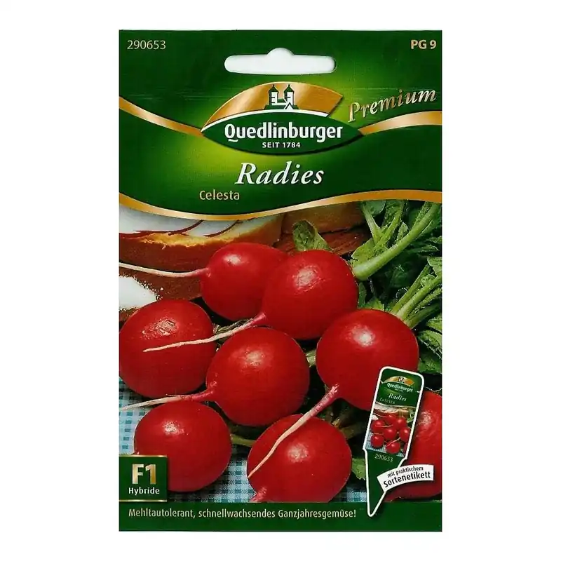 Sonderangebot Radieschen Celesta Samen, Radieschen kaufen