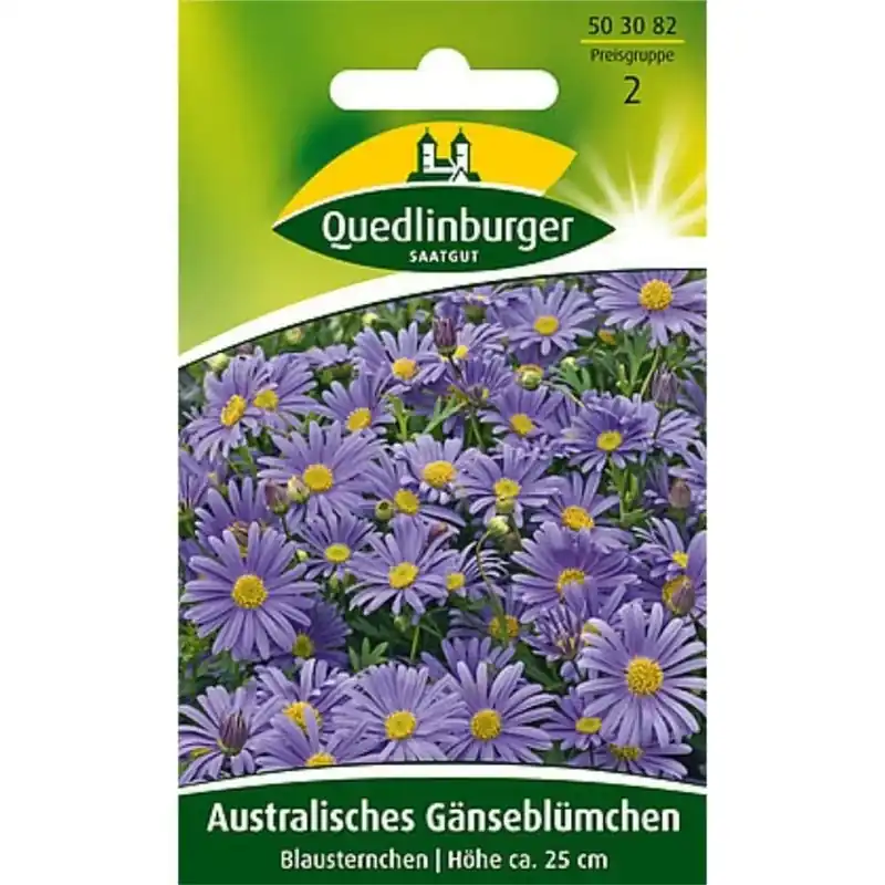 Australisches Gänseblümchen, Blausternchen Top-Preis