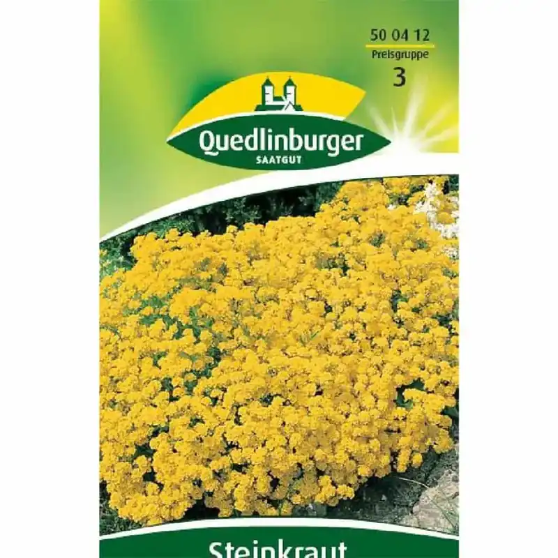Steinkraut, Goldkörbchen Kostenloser Versand