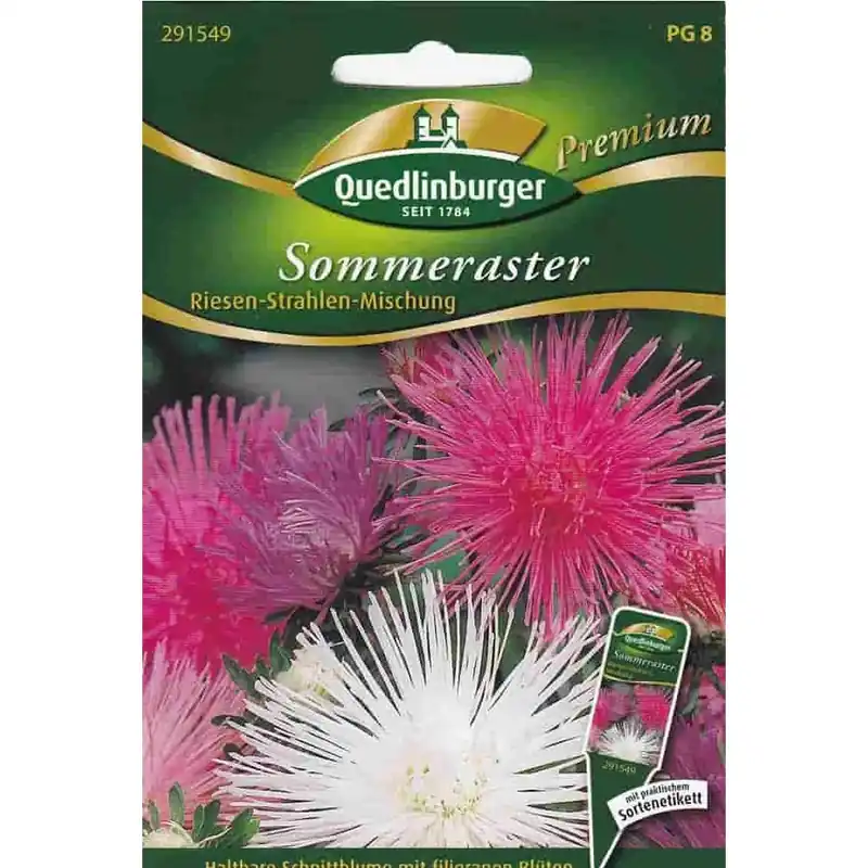 Sommerastern Samen, Riesen Strahlen Mischung, Schnittblumen Sichere Zahlung