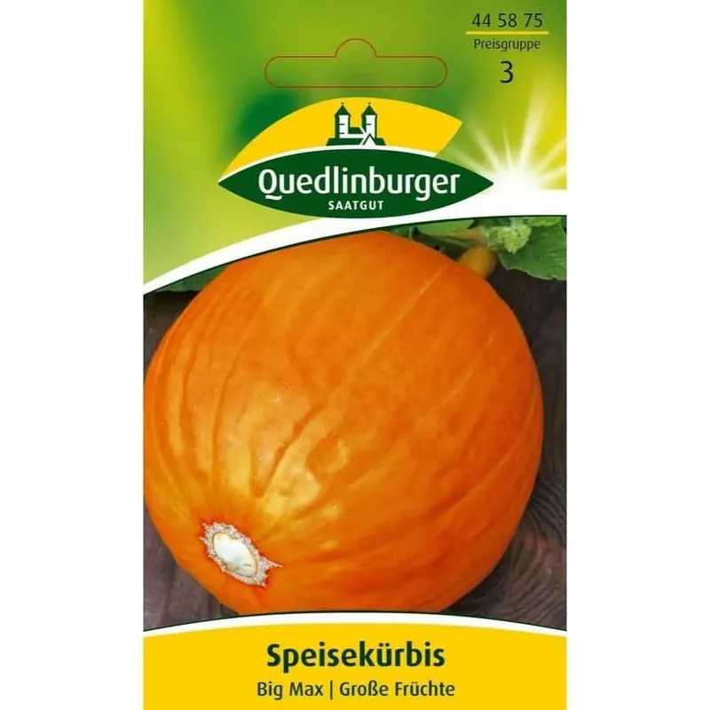 Neu Im Sortiment Speisekürbis, Big Max