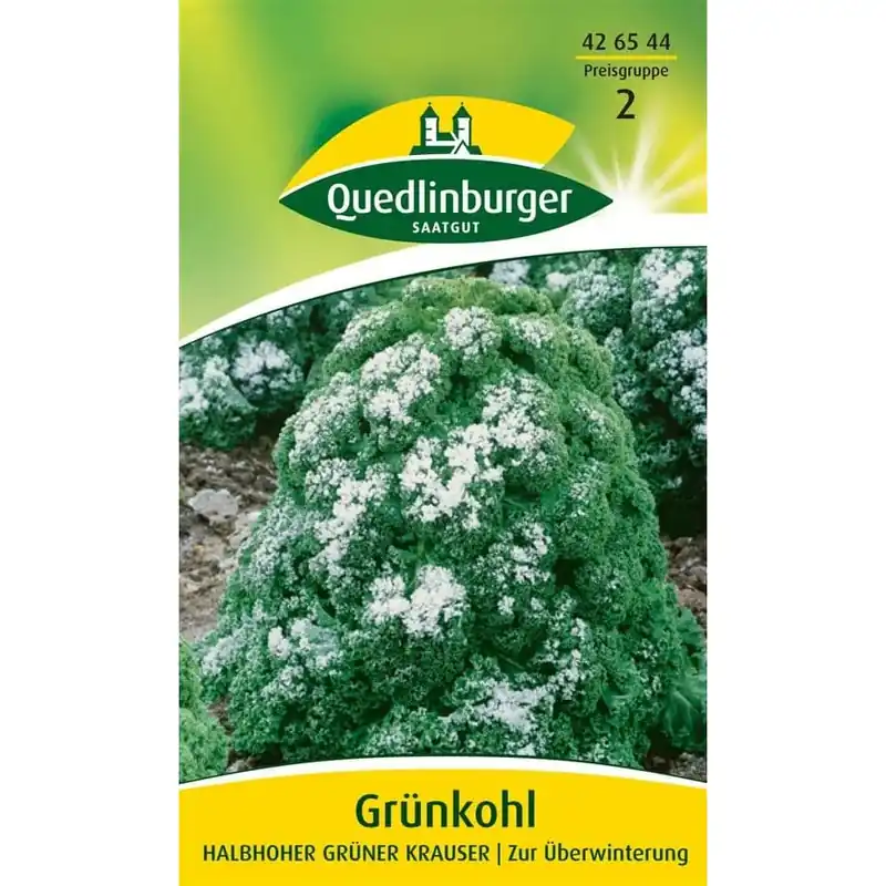 Grünkohl, Halbhoher, Krauser, Wintergemüse Abverkauf